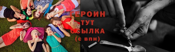 spice Богородицк