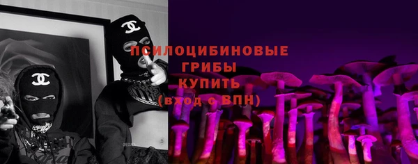 a pvp Аркадак
