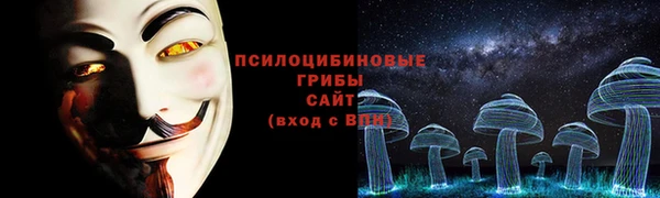 ГАЛЛЮЦИНОГЕННЫЕ ГРИБЫ Балахна