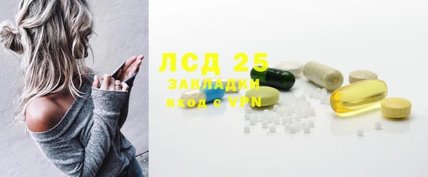 ГАЛЛЮЦИНОГЕННЫЕ ГРИБЫ Балахна
