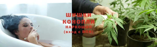 a pvp Аркадак