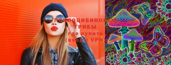 a pvp Аркадак