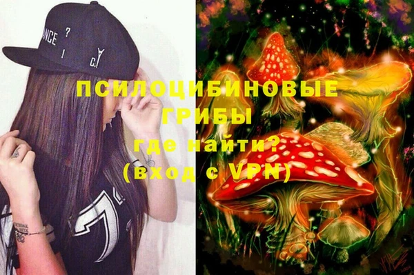 PSILOCYBIN Арсеньев