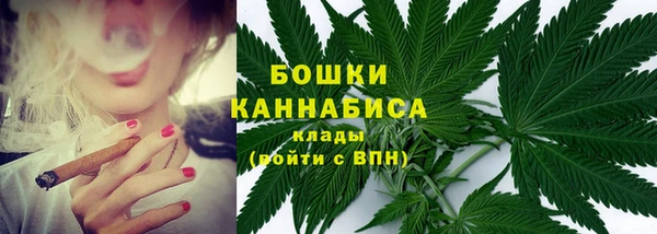PSILOCYBIN Арсеньев