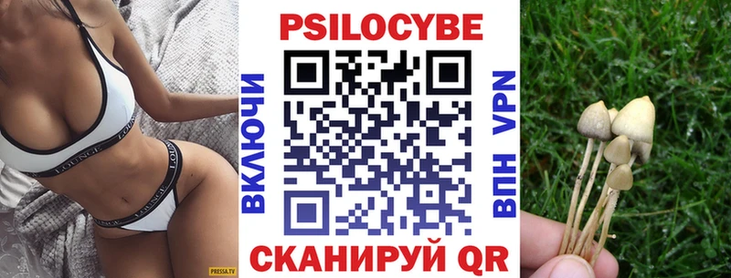 Псилоцибиновые грибы прущие грибы  ссылка на мегу   Спасск-Рязанский 